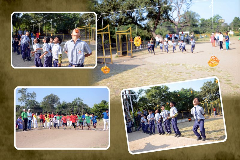 Inter House Games
